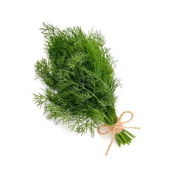 Fresh Dill bunch each